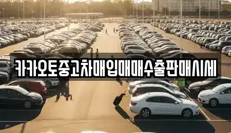경기 가평군 상면 중고차 전문 카카오토중고차매입매매수출판매시세