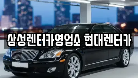 경기 고양시 덕양구 향동동 렌트카,단기렌트카,장기렌트카,중고차,중고차매매,중고차매입