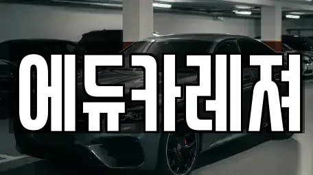 경기 고양시 덕양구 향동동 렌트카 전문 에듀카레져