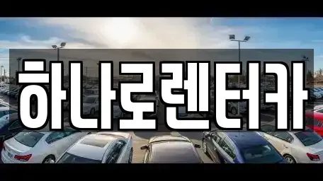 경기 고양시 덕양구 향동동 렌트카 전문 하나로렌터카