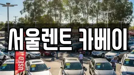 경기 고양시 덕양구 향동동 장기렌트카 전문 서울렌트 카베이