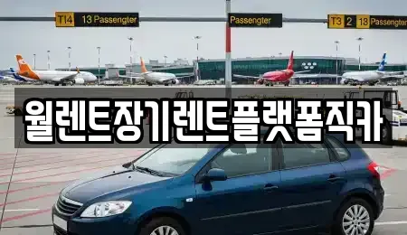 경기 고양시 덕양구 향동동 장기렌트카 전문 월렌트장기렌트플랫폼직카