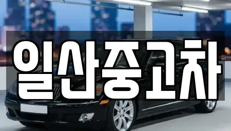 경기 고양시 덕양구 향동동 중고차 전문 일산중고차