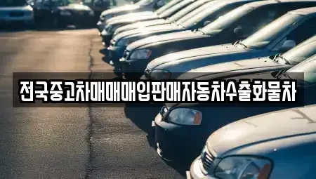 경기 고양시 덕양구 향동동 중고차 전문 전국중고차매매매입판매자동차수출화물차