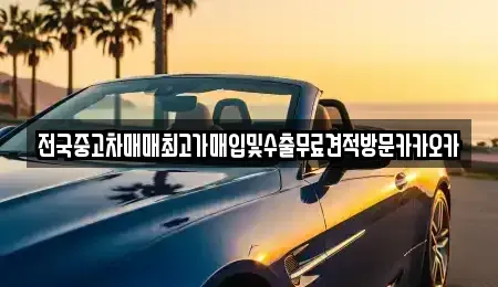경기 고양시 덕양구 향동동 중고차 전문 전국중고차매매최고가매입및수출무료견적방문카카오카