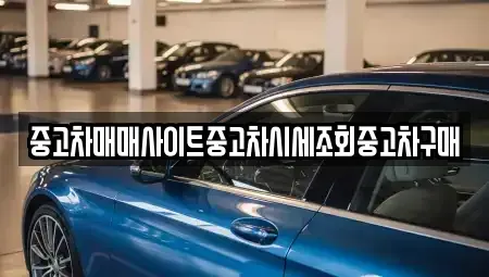 경기 고양시 덕양구 향동동 중고차 전문 중고차매매사이트중고차시세조회중고차구매