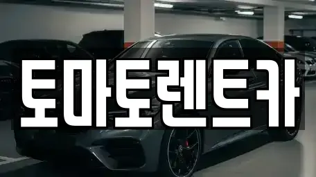 경기 광주시 초월읍 렌트카 전문 토마토렌트카