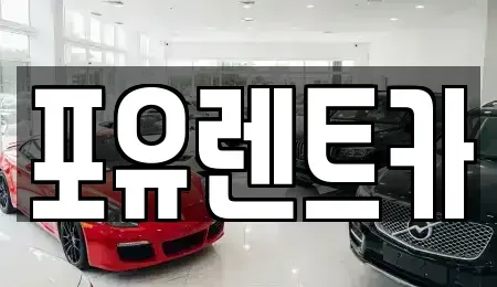 경기 광주시 초월읍 장기렌트카 전문 포유렌트카
