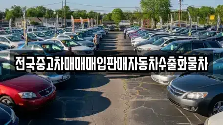 경기 광주시 초월읍 중고차 전문 전국중고차매매매입판매자동차수출화물차