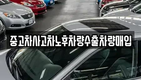 경기 광주시 초월읍 중고차 전문 중고차사고차노후차량수출차량매입