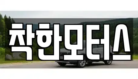 경기 광주시 초월읍 중고차 전문 착한모터스