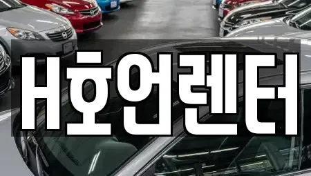 경기 김포시 걸포동 장기렌트카 전문 H호언렌터