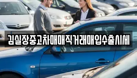 경기 김포시 걸포동 중고차 전문 김실장중고차매매직거래매입수출시세