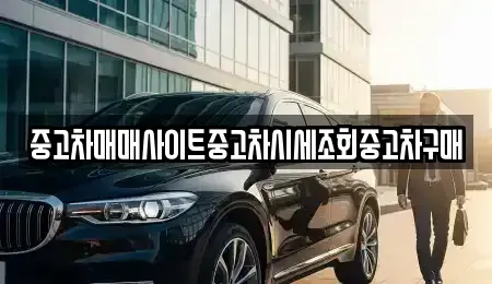 경기 김포시 걸포동 중고차 전문 중고차매매사이트중고차시세조회중고차구매