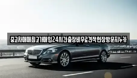 경기 김포시 걸포동 중고차 전문 중고차매매최고가매입24시간출장비무료견적현장방문지누카