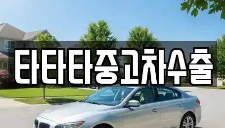경기 김포시 걸포동 중고차 전문 타타타중고차수출