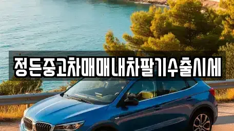 경기 동두천시 걸산동 중고차 전문 정든중고차매매내차팔기수출시세