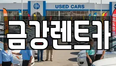 경기 수원시 팔달구 북수동 렌트카 전문 금강렌트카