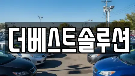 경기 수원시 팔달구 북수동 장기렌트카 전문 더베스트솔루션