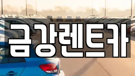 경기 수원시 팔달구 지동 렌트카 전문 금강렌트카
