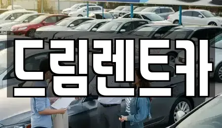 경기 수원시 팔달구 지동 렌트카 전문 드림렌트카