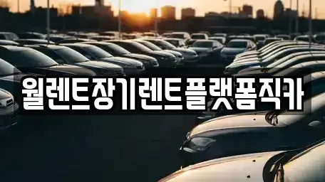 경기 수원시 팔달구 지동 장기렌트카 전문 월렌트장기렌트플랫폼직카