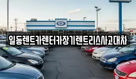 경기 시흥시 매화동 렌트카,단기렌트카,장기렌트카,중고차,중고차매매,중고차매입