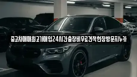 경기 시흥시 매화동 중고차 전문 중고차매매최고가매입24시간출장비무료견적현장방문지누카