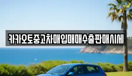 경기 시흥시 매화동 중고차 전문 카카오토중고차매입매매수출판매시세