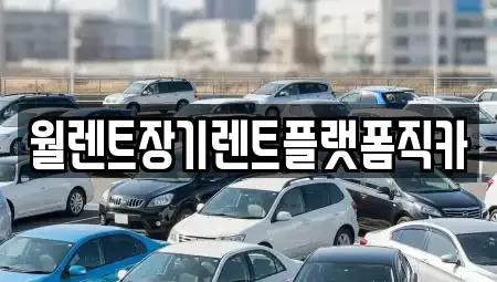 경기 안산시 단원구 대부남동 렌트카 전문 월렌트장기렌트플랫폼직카