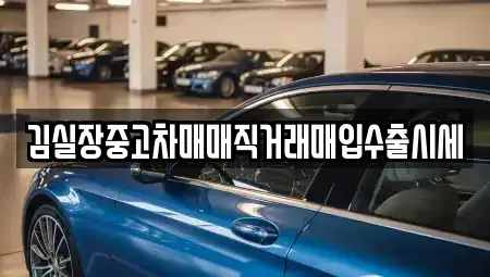 경기 안산시 단원구 대부남동 중고차매입 전문 김실장중고차매매직거래매입수출시세