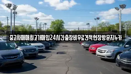 경기 안산시 단원구 대부남동 중고차매입 전문 중고차매매최고가매입24시간출장비무료견적현장방문지누카