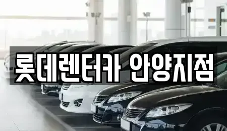 경기 안양시 동안구 관양동 단기렌트카 전문 롯데렌터카 안양지점