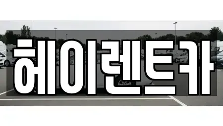 경기 안양시 동안구 관양동 렌트카 전문 헤이렌트카