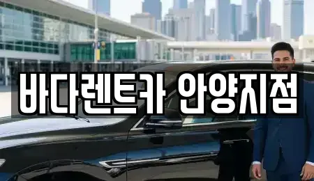 경기 안양시 동안구 관양동 장기렌트카 전문 바다렌트카 안양지점