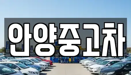 경기 안양시 동안구 관양동 중고차 전문 안양중고차
