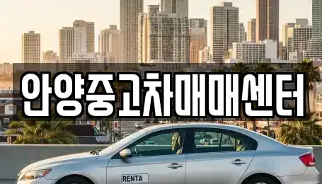 경기 안양시 동안구 관양동 중고차 전문 안양중고차매매센터