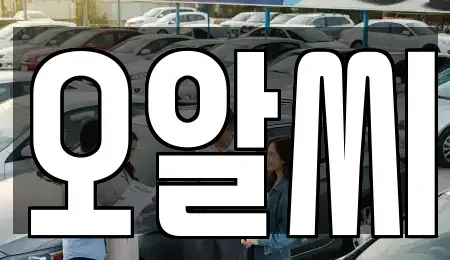 경기 안양시 만안구 석수동 장기렌트카 전문 오알씨