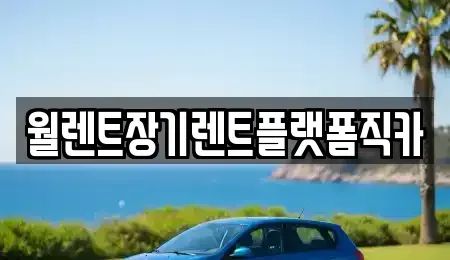 경기 양주시 회암동 렌트카 전문 월렌트장기렌트플랫폼직카