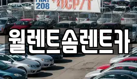경기 여주시 세종대왕면 렌트카 전문 월렌트솜렌트카