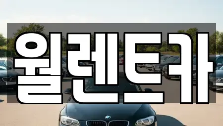 경기 여주시 세종대왕면 렌트카 전문 월렌트카