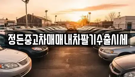 경기 여주시 세종대왕면 중고차 전문 정든중고차매매내차팔기수출시세