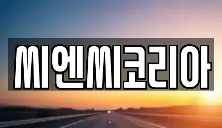 경기 오산시 부산동 장기렌트카 전문 씨엔씨코리아