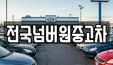 경기 파주시 금릉동 중고차 전문 전국넘버원중고차