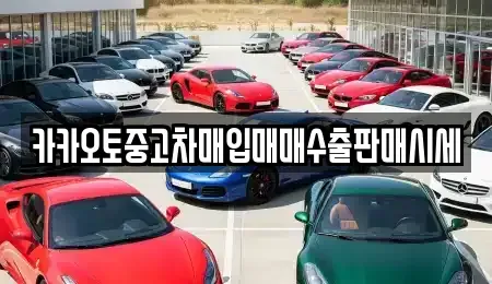 경기 파주시 금릉동 중고차 전문 카카오토중고차매입매매수출판매시세