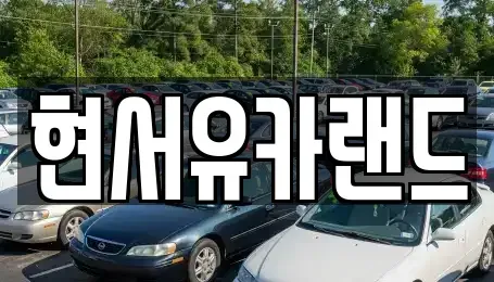 경기 평택시 세교동 중고차 전문 현서유카랜드