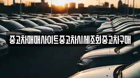 경기 포천시 선단동 중고차 전문 중고차매매사이트중고차시세조회중고차구매