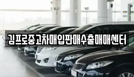 경기 포천시 선단동 중고차매입 전문 김프로중고차매입판매수출매매센터