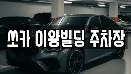 경기 포천시 화현면 렌트카 전문 쏘카 이왕빌딩 주차장
