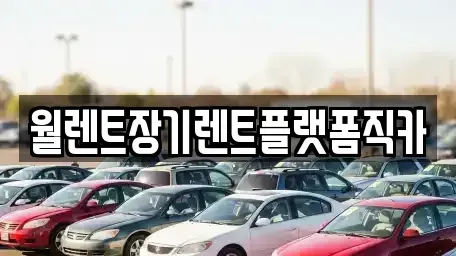 경기 포천시 화현면 장기렌트카,중고차,렌트카,단기렌트카,중고차매입,중고차매매